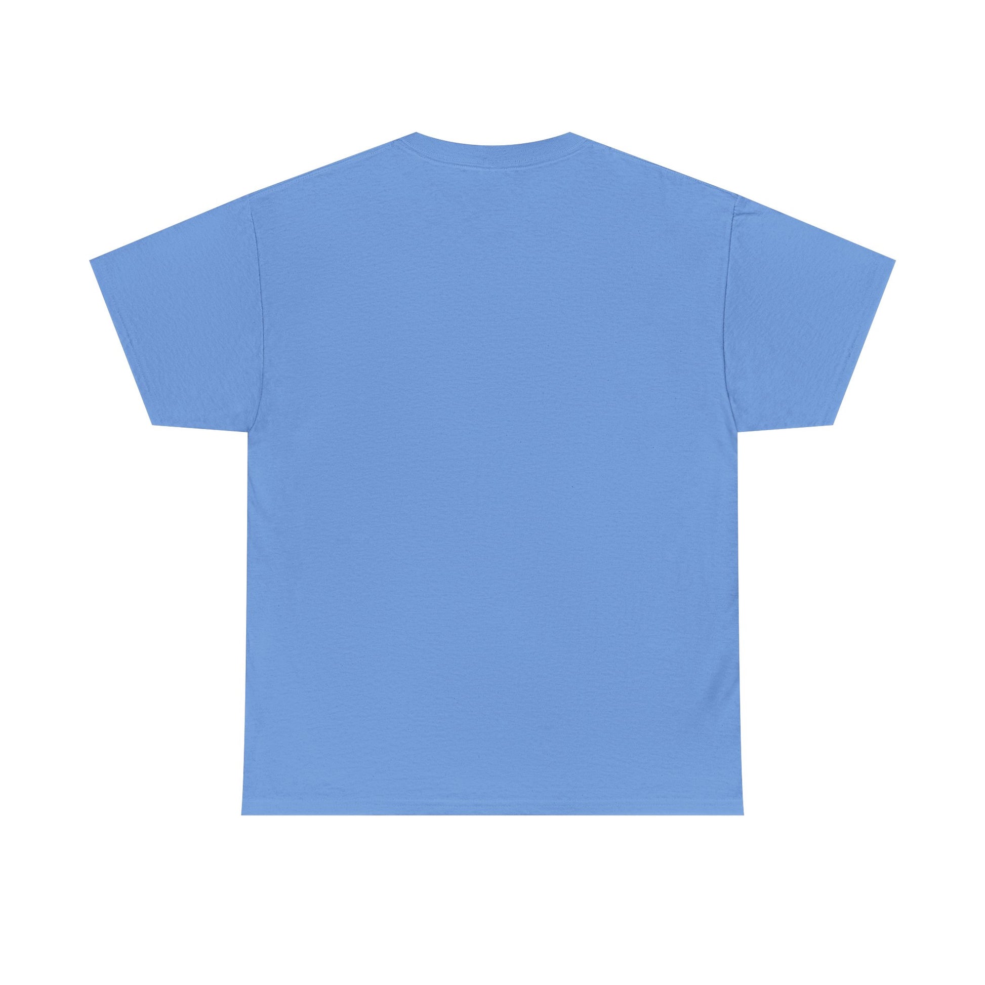 Light blue vintage T-shirt, plain back view with crew neck and short sleeves
