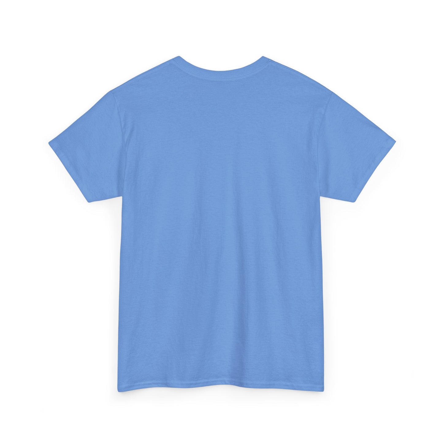 Light blue t-shirt, plain back view with short sleeves and crew neckline